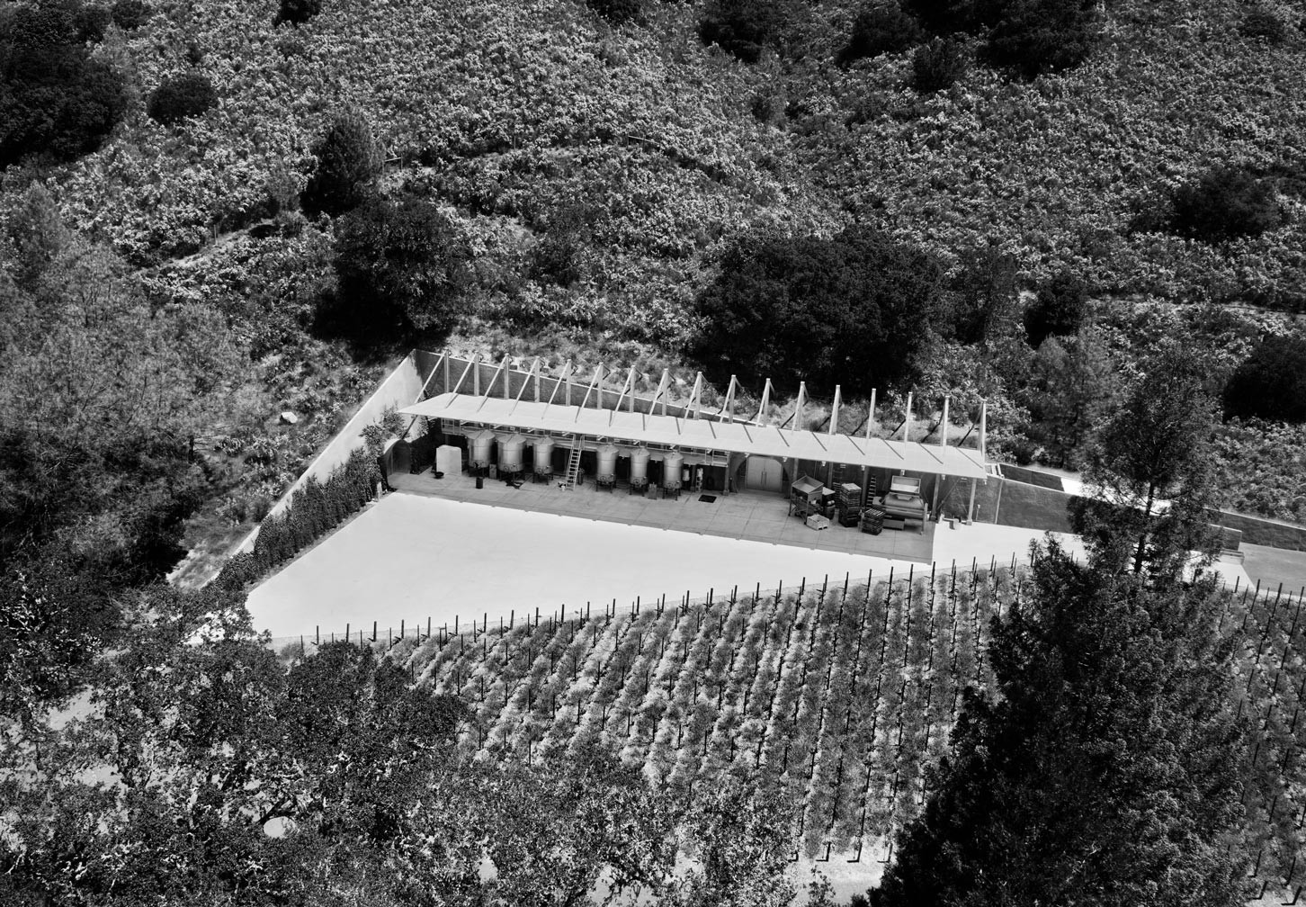 overhead view of vines and winery
