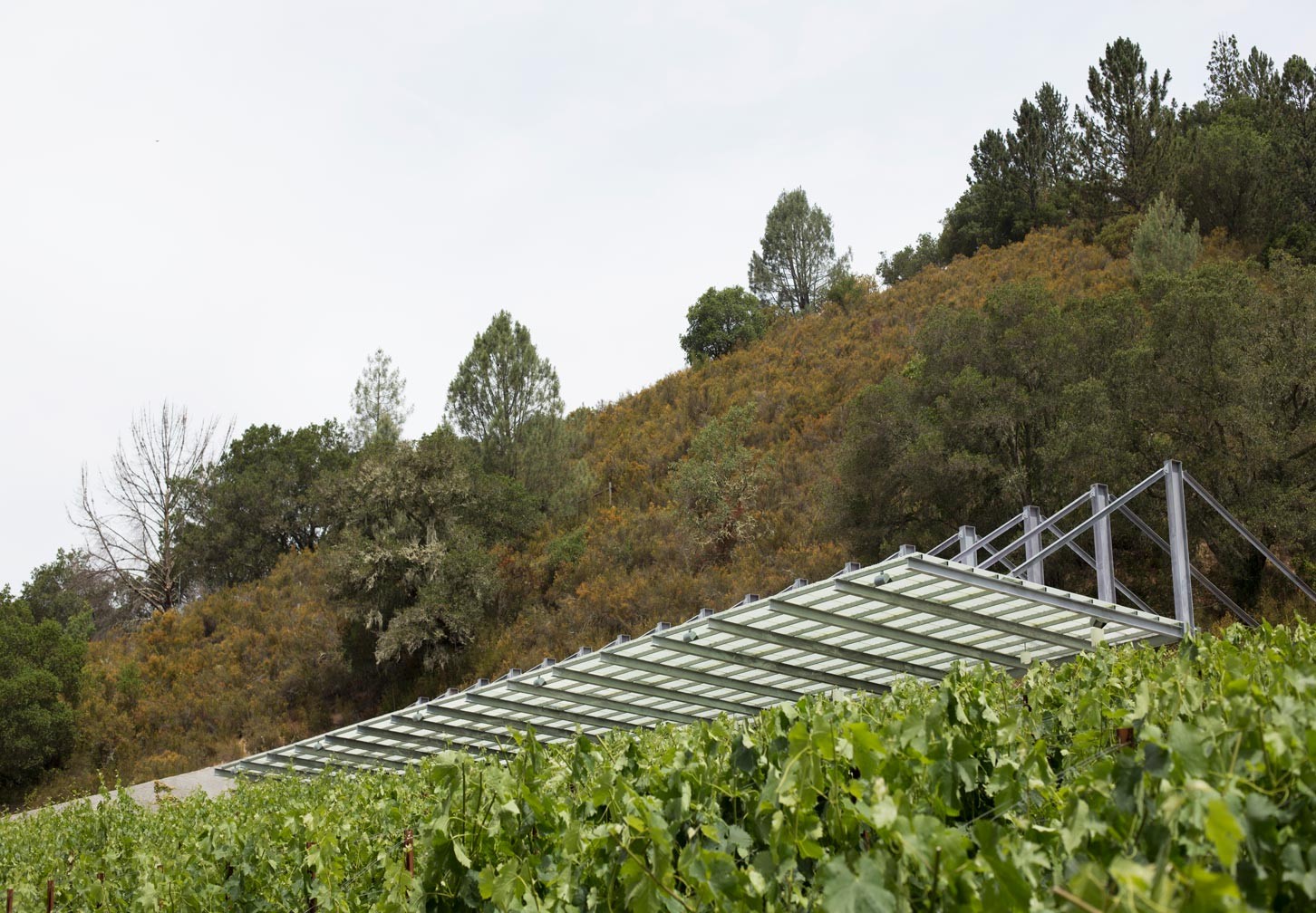 winery roof