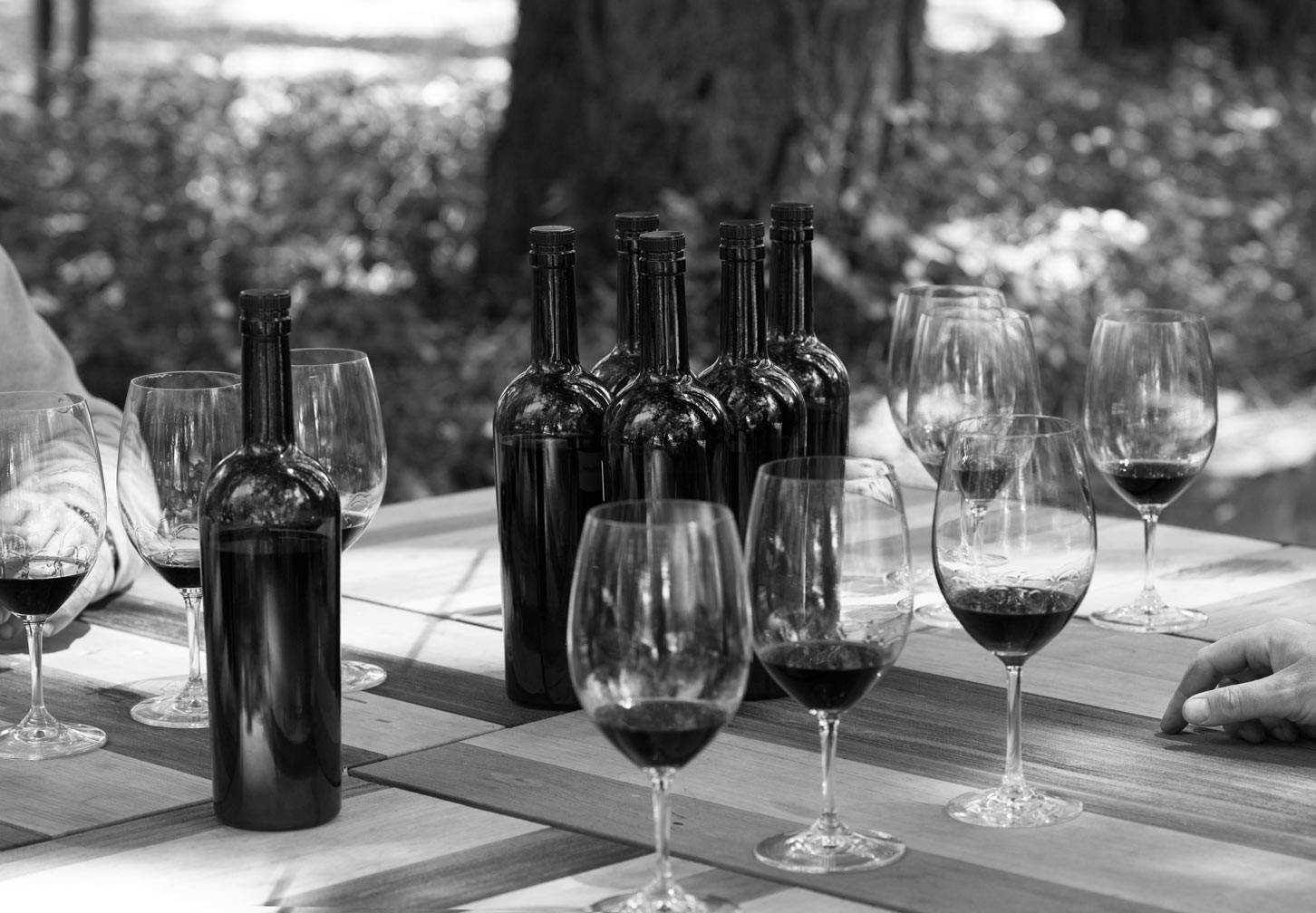 bottles and glasses on a table